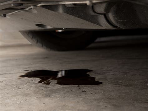 flex seal oil leak|Oil leak